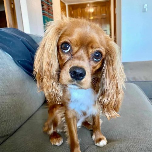 WhatsApp Image 2020-12-10 at 9.05.35 PM